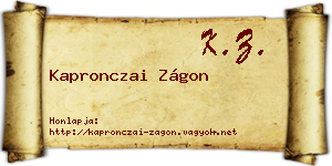 Kapronczai Zágon névjegykártya